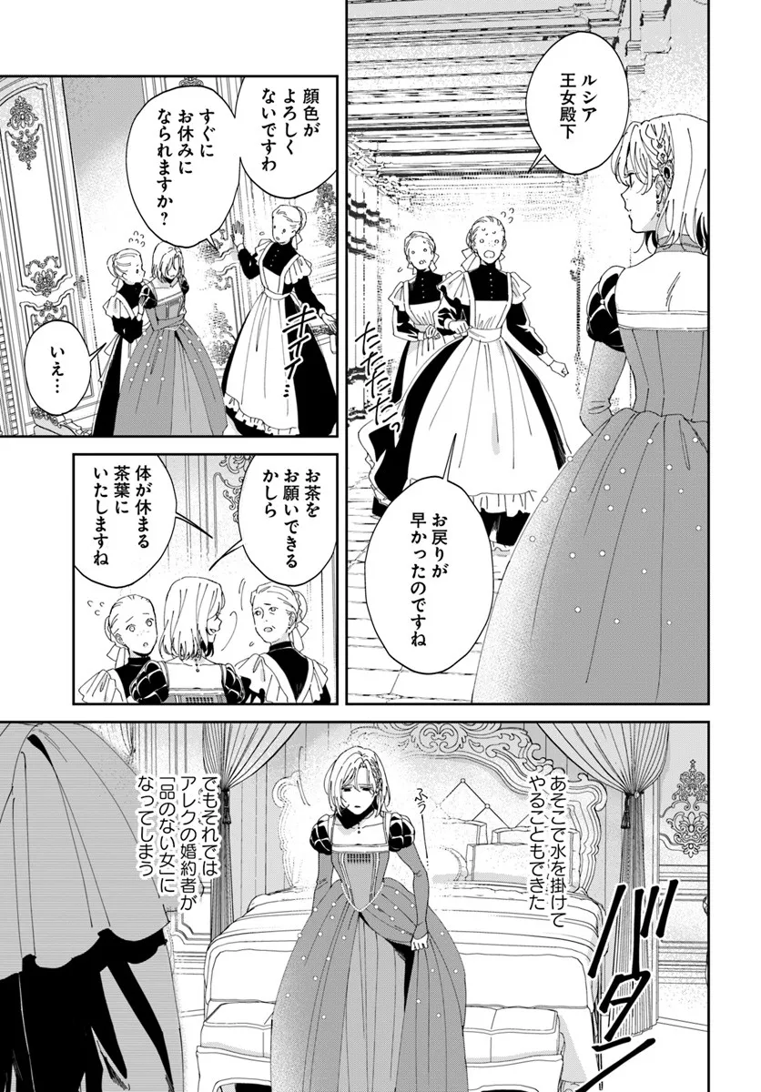 第一王女ルシアの帰還と華麗なる快進撃　海の守護騎士との出逢い 第2話 - Page 19