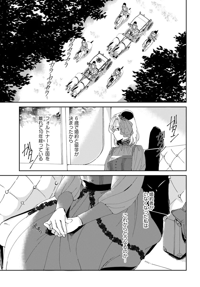 第一王女ルシアの帰還と華麗なる快進撃　海の守護騎士との出逢い 第1話 - Page 7