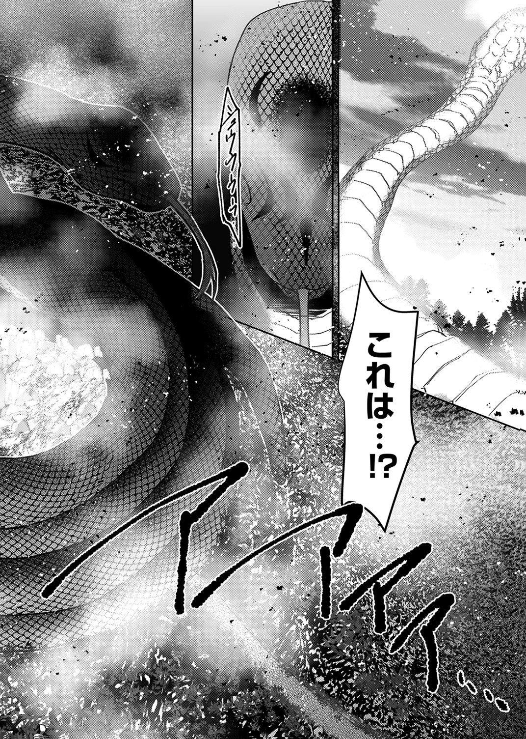パーティーを追放された冒険者、伝説の竜精と契約して最強に至る 第8話 - Page 20