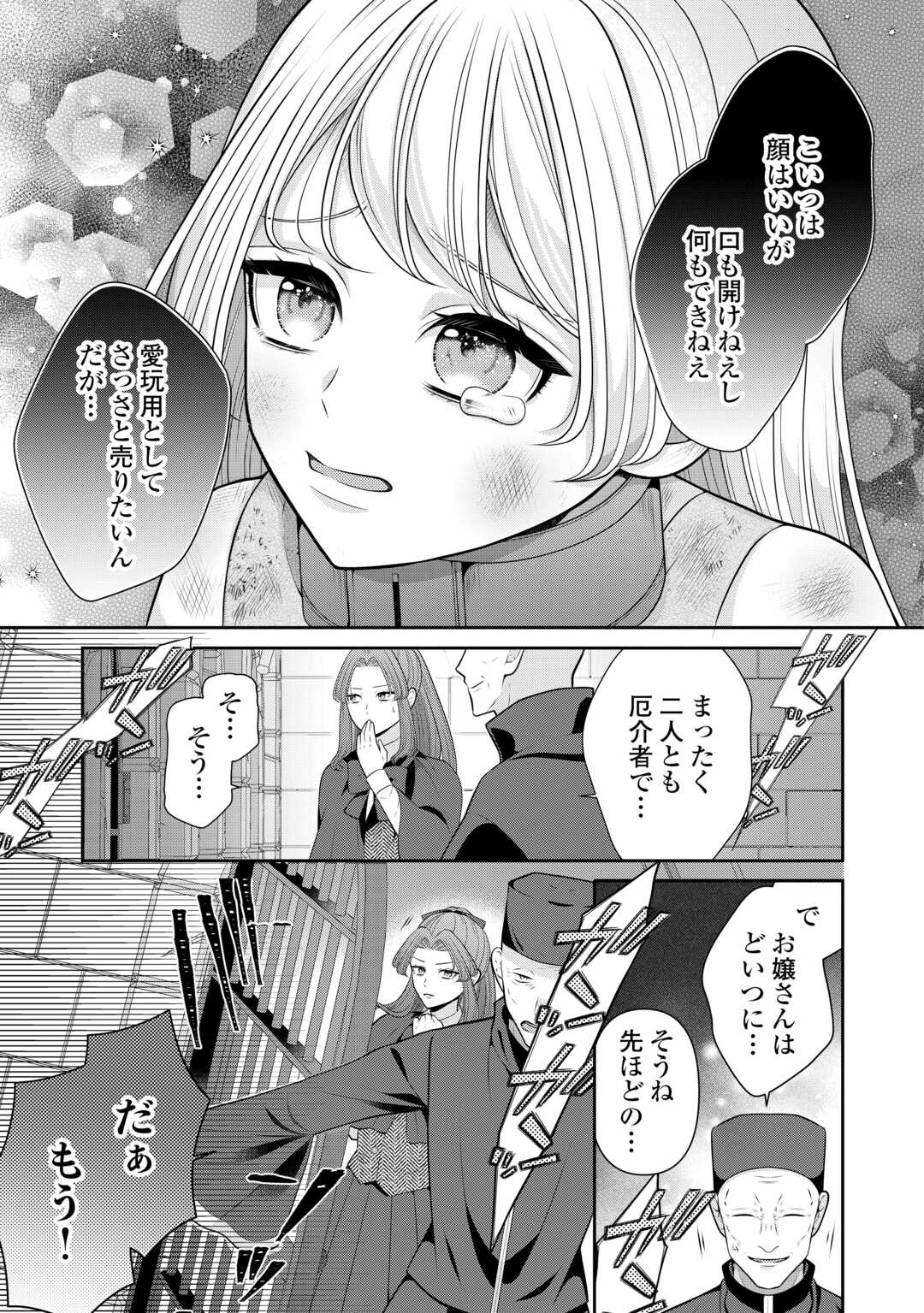 冤罪で婚約破棄された公爵令嬢は隣国へ逃亡いたします 第1話 - Page 27