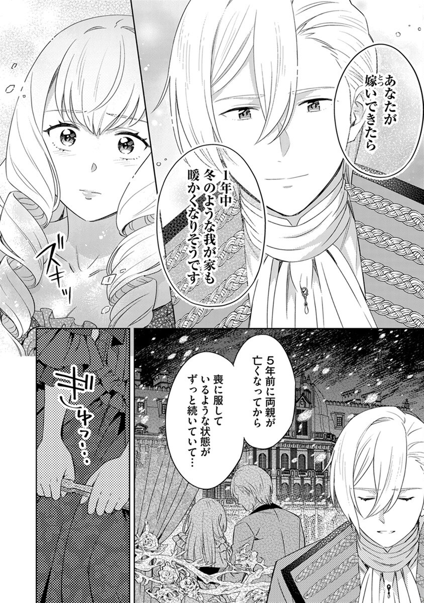 身代わり伯爵令嬢だけれど、婚約者代理はご勘弁 第5話 - Page 2