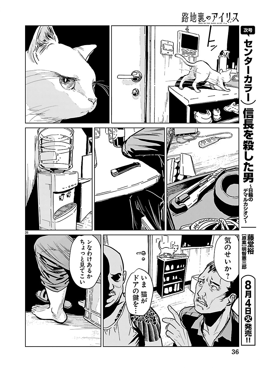 路地裏のアイリス 第1話 - Page 27