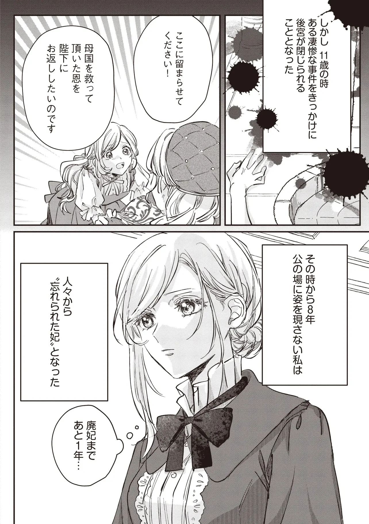 忘れられた妃ですので 初恋の旦那様に贈るしあわせな再婚 第1.1話 - Page 10