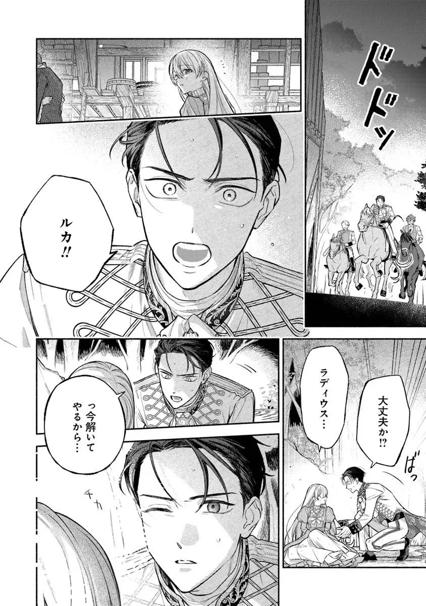 前世冷徹王子の馬でした 前世冷徹王子の馬でした 人になっても貴方を愛していいですか 第18話 - Page 20