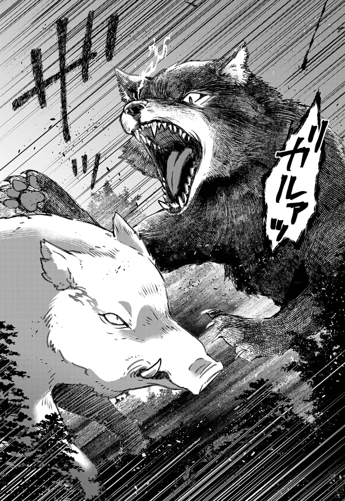 獣達のペレグリナティオ 第1話 - Page 35